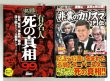 画像1: 【1点モノ】ブルース・リー死の真相2冊セット（国内本） (1)